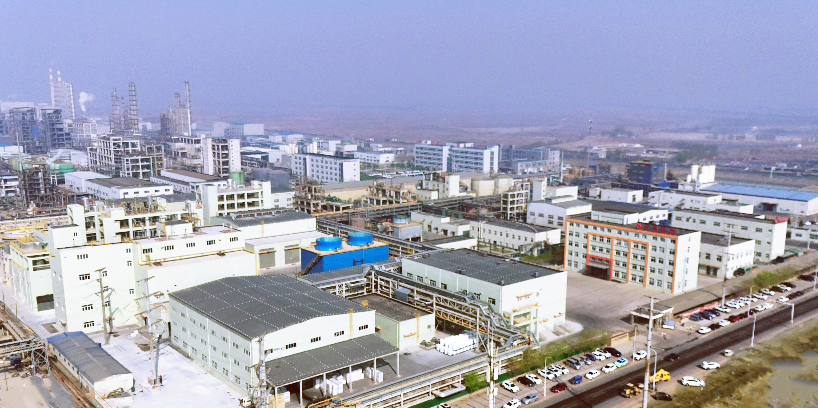 公司入選2025年河北省民營(yíng)企業(yè)研發(fā)投入100強(qiáng)